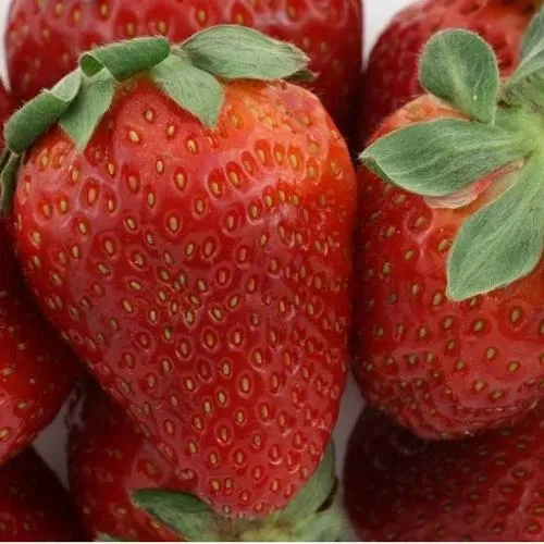 Клубника ФЛАМИНИЯ в Кургане