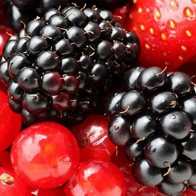 Ежевика  Ежевика в Кургане