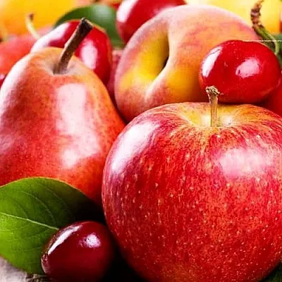 Плодовые деревья в Кургане