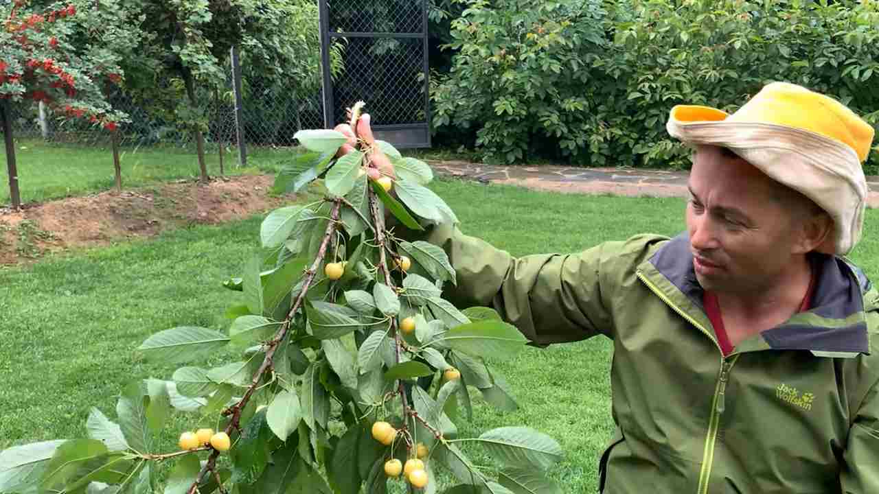 Превью видео