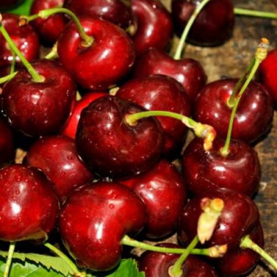 Черешня САММИТ в Кургане