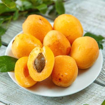 Абрикос АНАНАСНЫЙ в Кургане