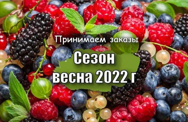 Раннее бронирование ВЕСНА 2022